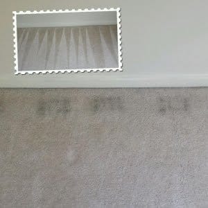 Help We Have Dark Lines Around Our Carpet Edges!