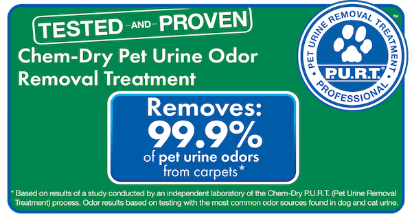 pet urine odor removal