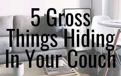 4 Gross Things Hiding In Your Couch