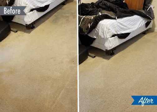 carpet cleaning clinton township