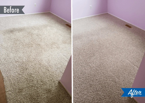 carpet cleaning clinton township