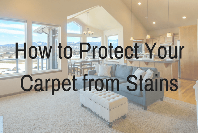 How to Protect Your Carpet from Stains