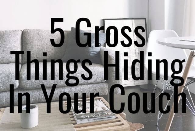 5 Gross Things Hiding In Your Couch