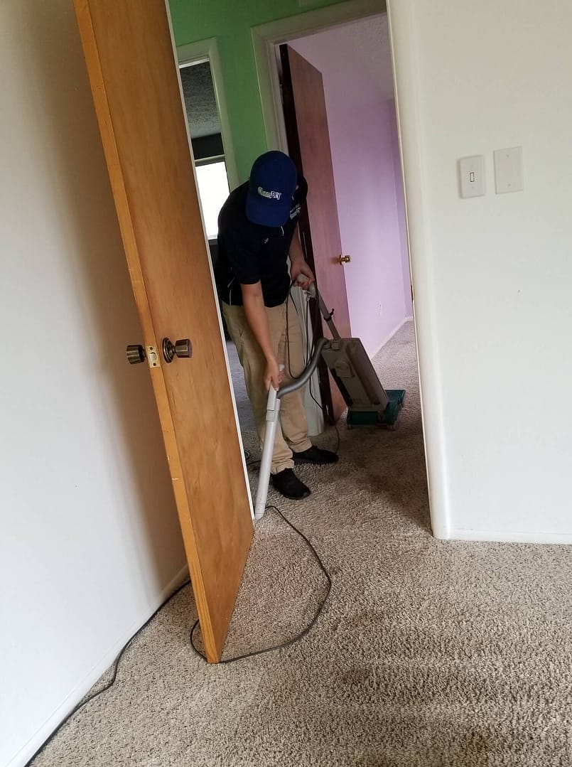 carpet cleaning grosse point mi